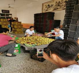 d8abd23e0421ce0734d5bbcc12e0a88